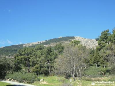 Pinar de Abantos y Zona de la Herrería del Real Sitio de San Lorenzo de El Escorial;camino schmidt p